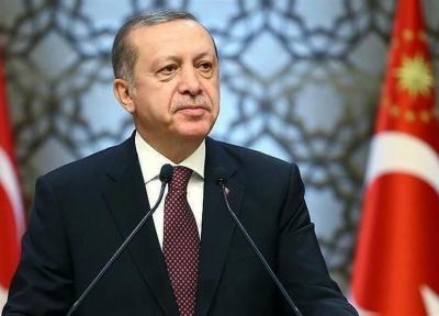اردوغان: مذاکره با پوتین در بالاترین سطح برای مشخص نقشه راه ادامه دارد، بخشی از معارضین سوریه به همراه ما در لیبی هستند