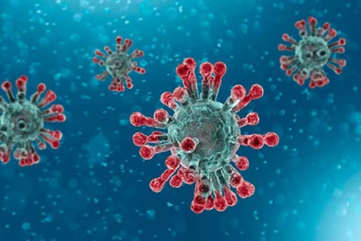 کرونا همچنان یک ویروس پابرجاست ، آمار مراجعه به مراکز درمانی بیشتر شده است