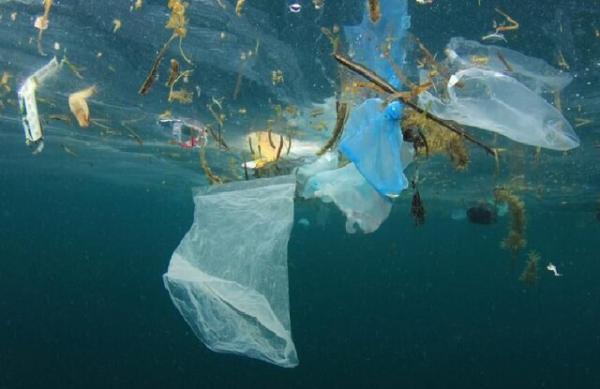 12 نکته درباره پلاستیک ها، آفت های مصنوعی محیط زیست